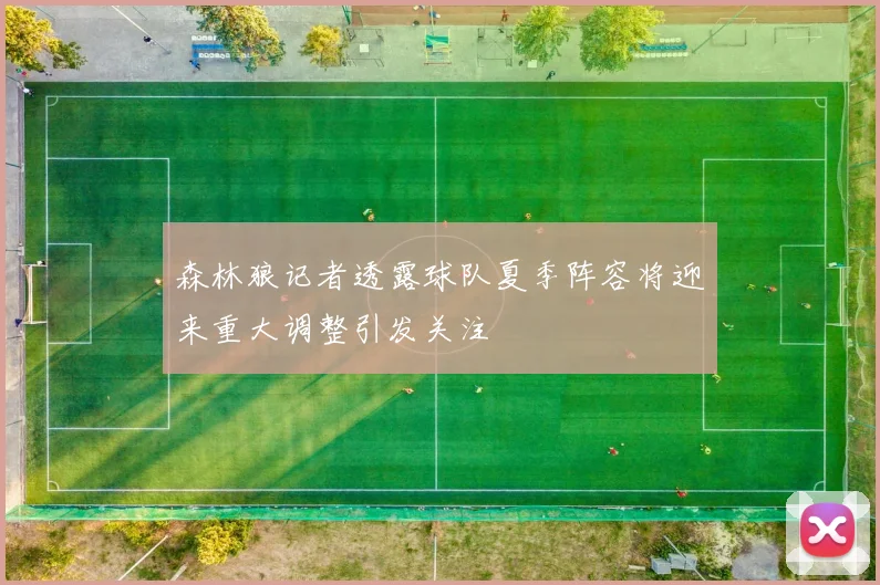 森林狼记者透露球队夏季阵容将迎来重大调整引发关注